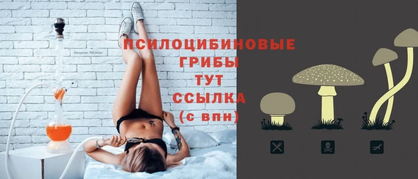 мяу мяу мука Михайловск