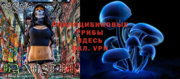 мяу мяу мука Михайловск