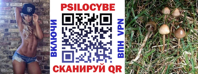 наркошоп Рязань Псилоцибиновые грибы Psilocybe