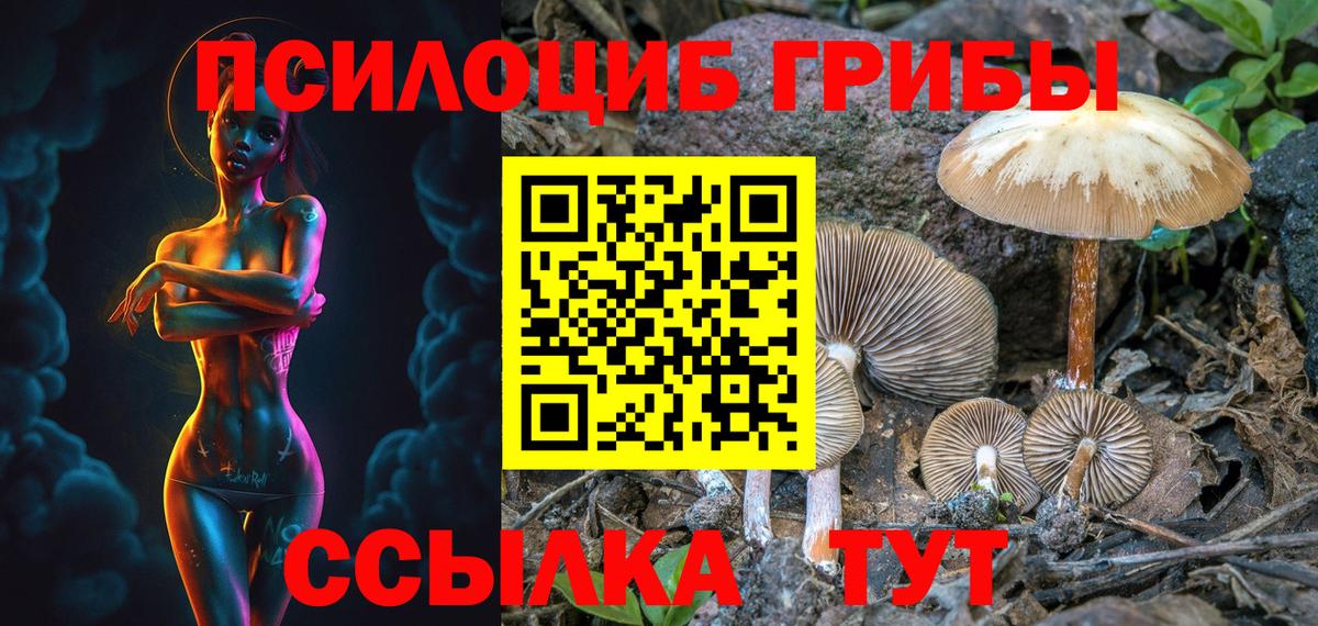 купить наркотики сайты  Вход с VPN  Рязань  Галлюциногенные грибы Magic Shrooms  Галлюциногенные грибы Psilocybine cubensis 